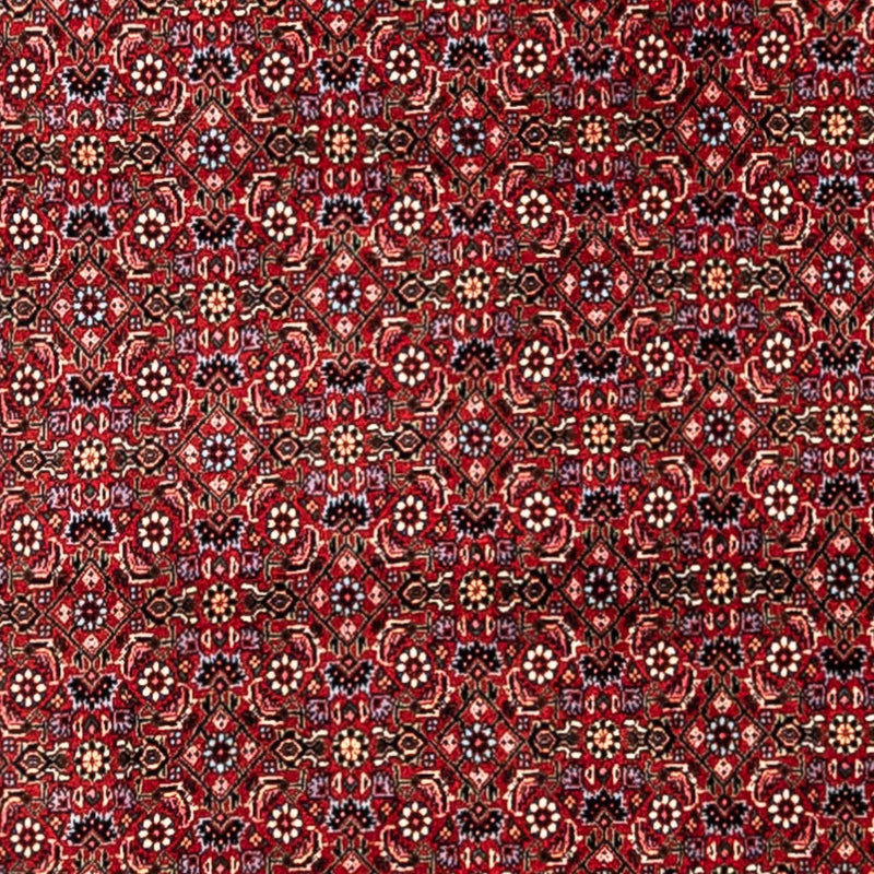 Tappeto Persero - Bidjar - 331 x 254 cm - rosso