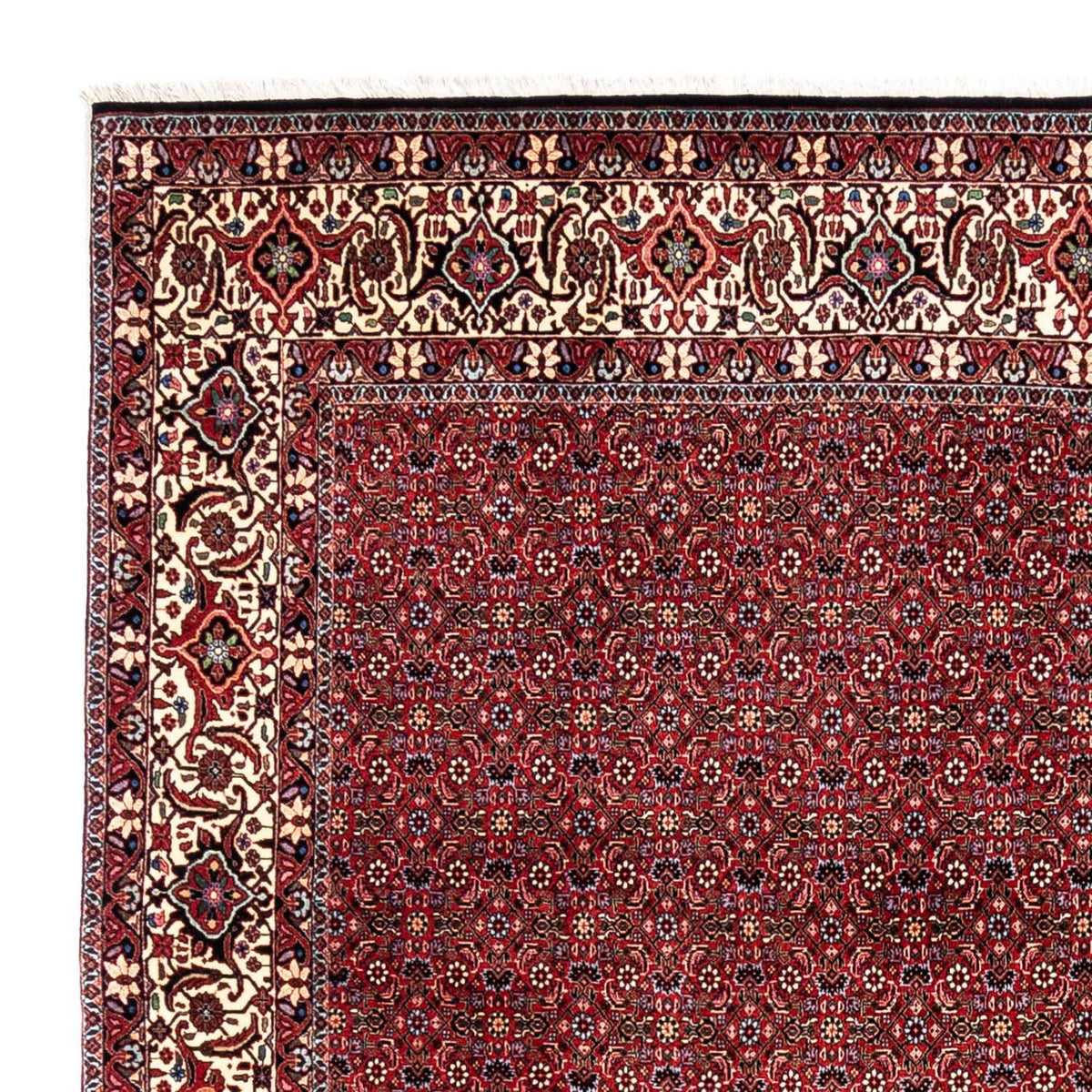 Tappeto Persero - Bidjar - 331 x 254 cm - rosso