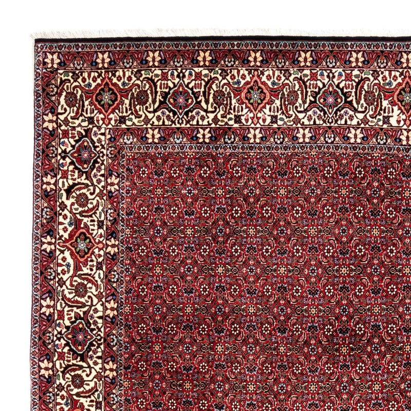 Tappeto Persero - Bidjar - 331 x 254 cm - rosso