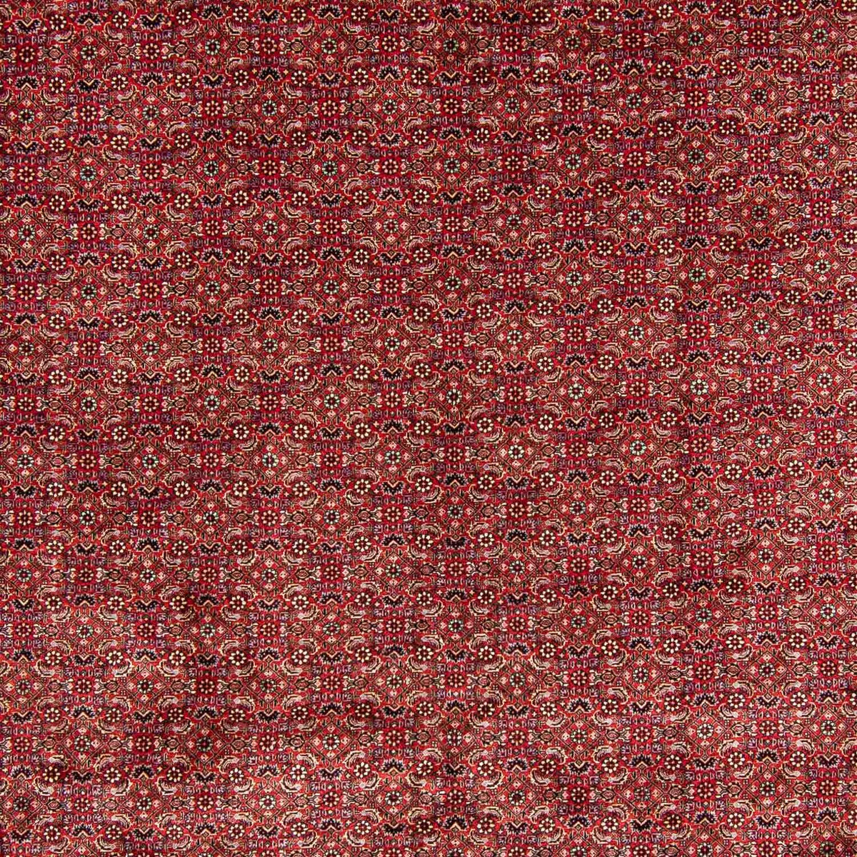 Tappeto Persero - Bidjar - 381 x 298 cm - rosso scuro