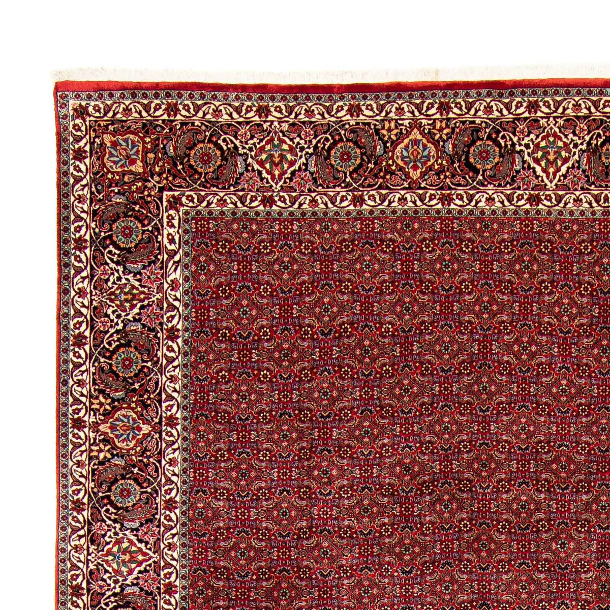 Tappeto Persero - Bidjar - 381 x 298 cm - rosso scuro