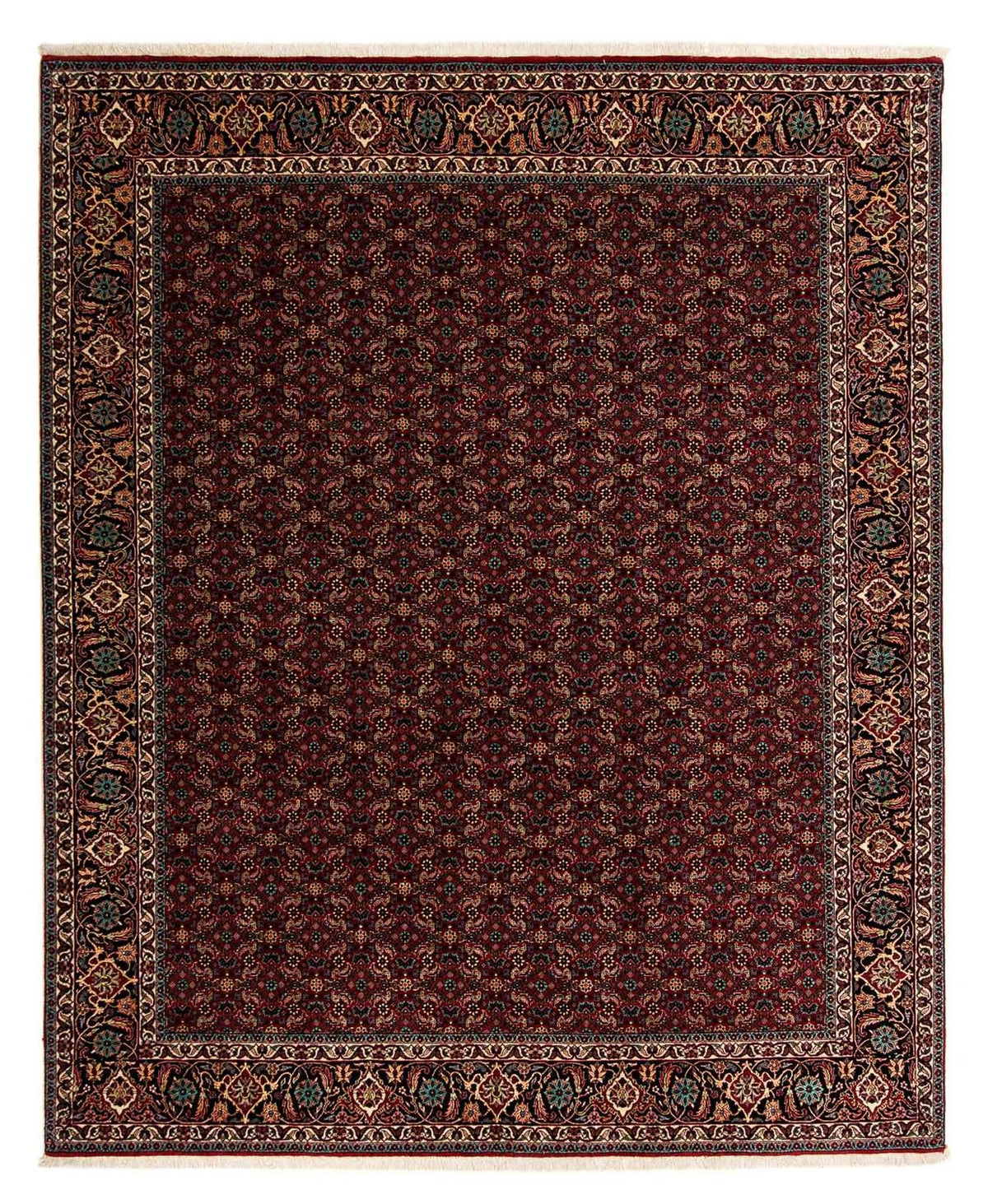 Tappeto Persero - Bidjar - 252 x 206 cm - rosso scuro