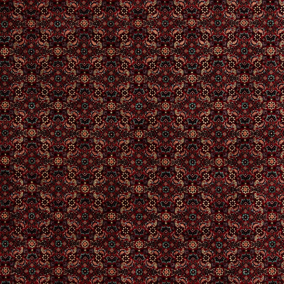 Tappeto Persero - Bidjar - 252 x 206 cm - rosso scuro