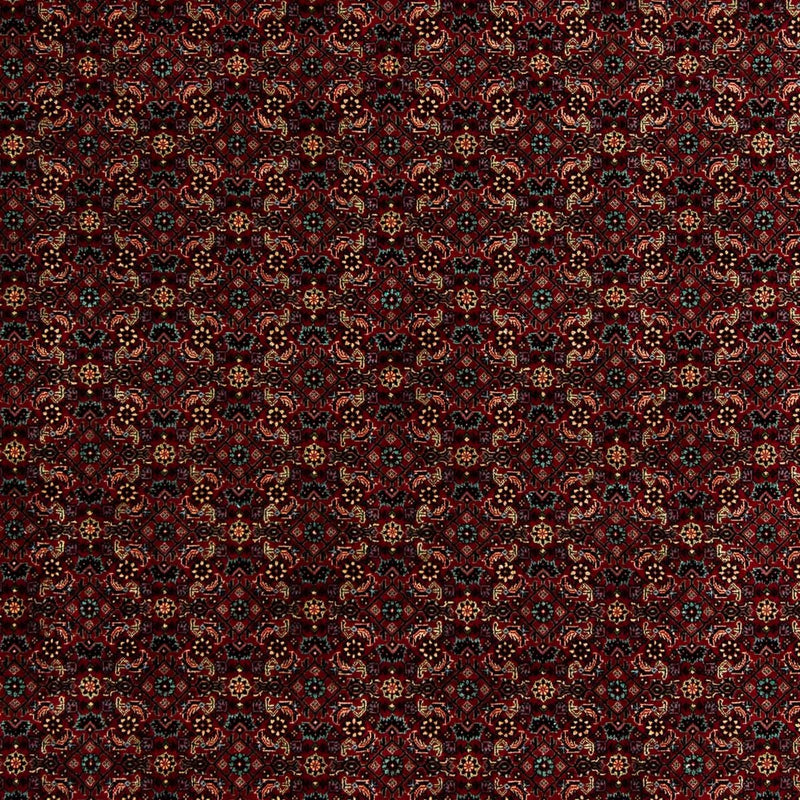 Tappeto Persero - Bidjar - 252 x 206 cm - rosso scuro