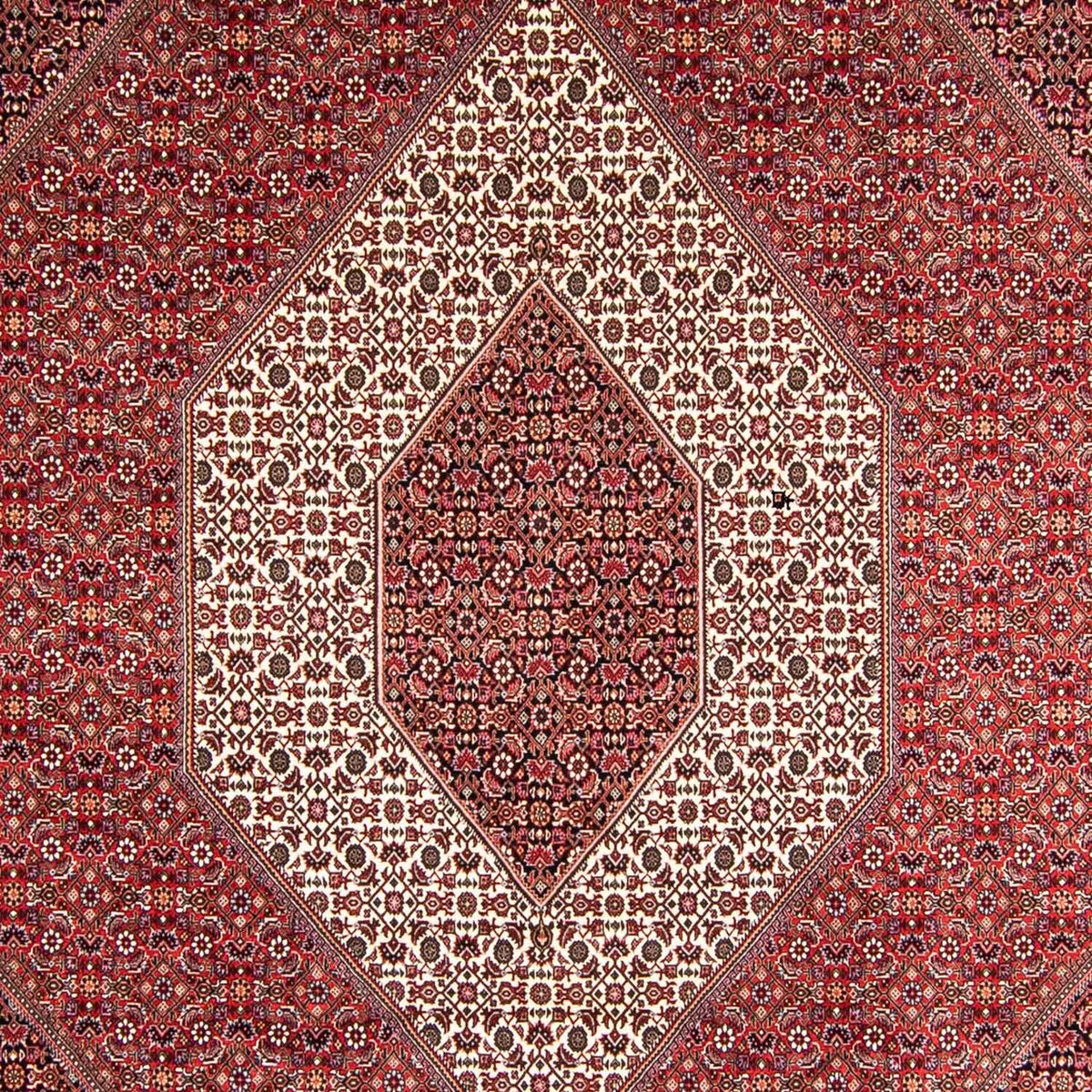 Tappeto Persero - Bidjar - 357 x 250 cm - rosso chiaro