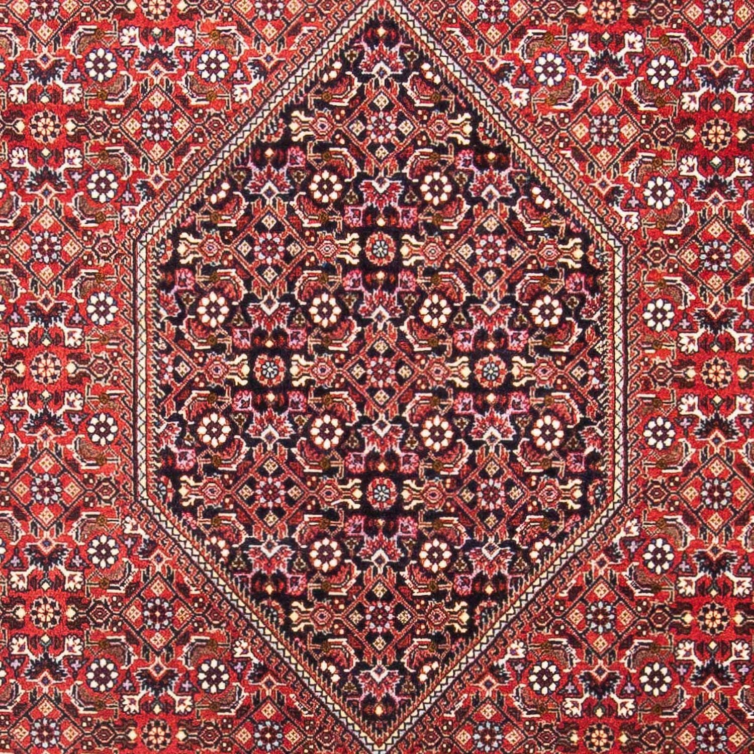 Tappeto Persero - Bidjar - 180 x 110 cm - rosso