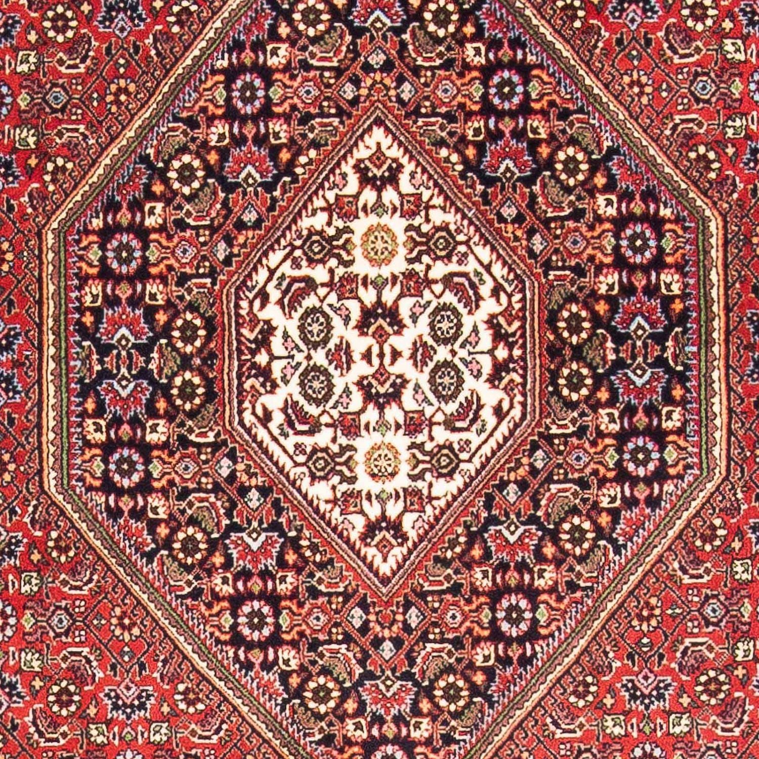 Tappeto Persero - Bidjar - 175 x 110 cm - rosso