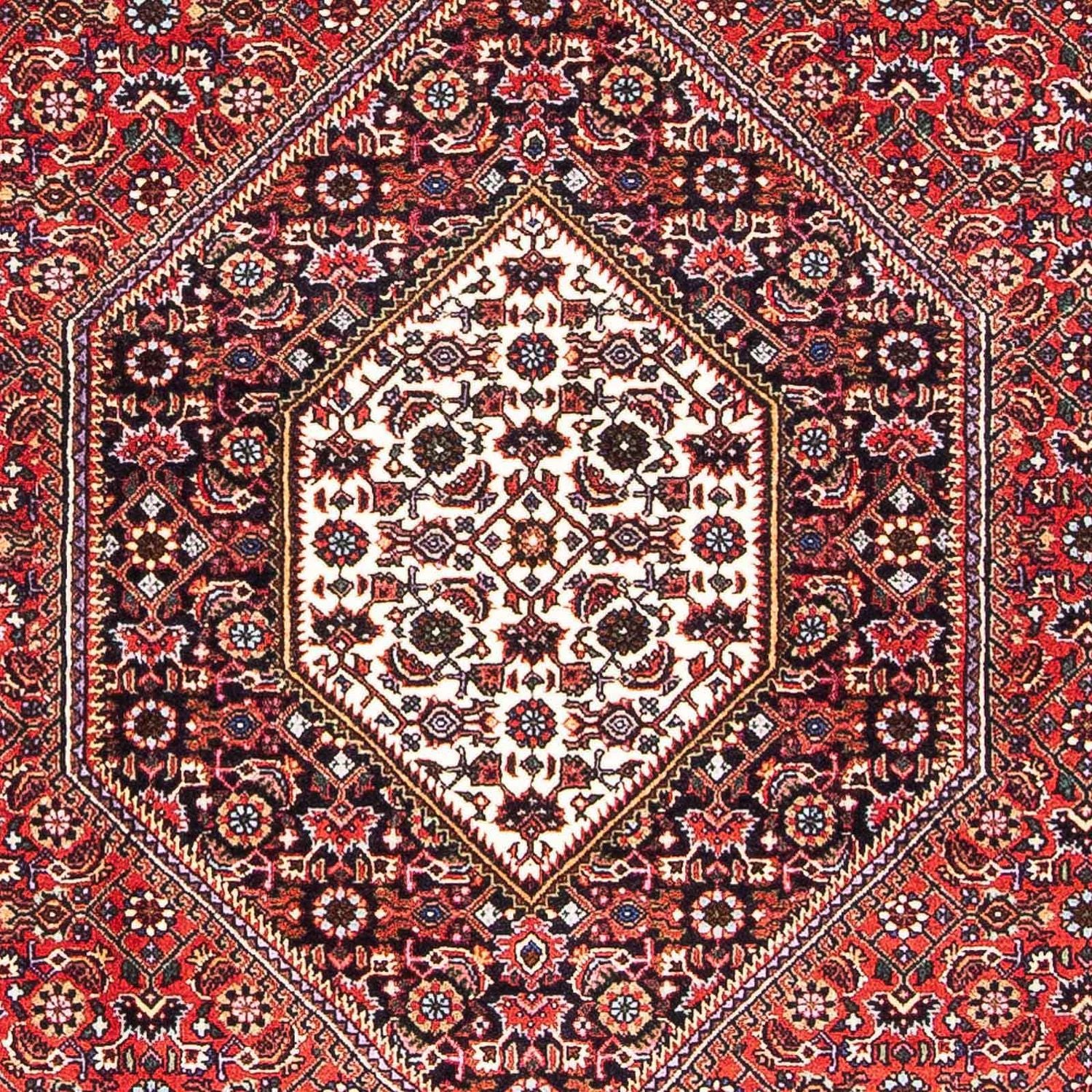 Tappeto Persero - Bidjar - 170 x 109 cm - rosso