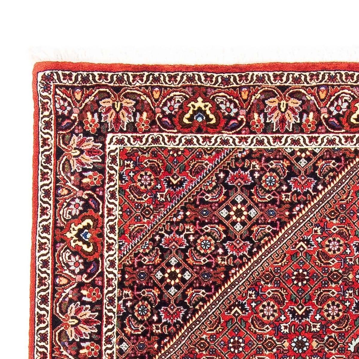 Tappeto Persero - Bidjar - 170 x 109 cm - rosso