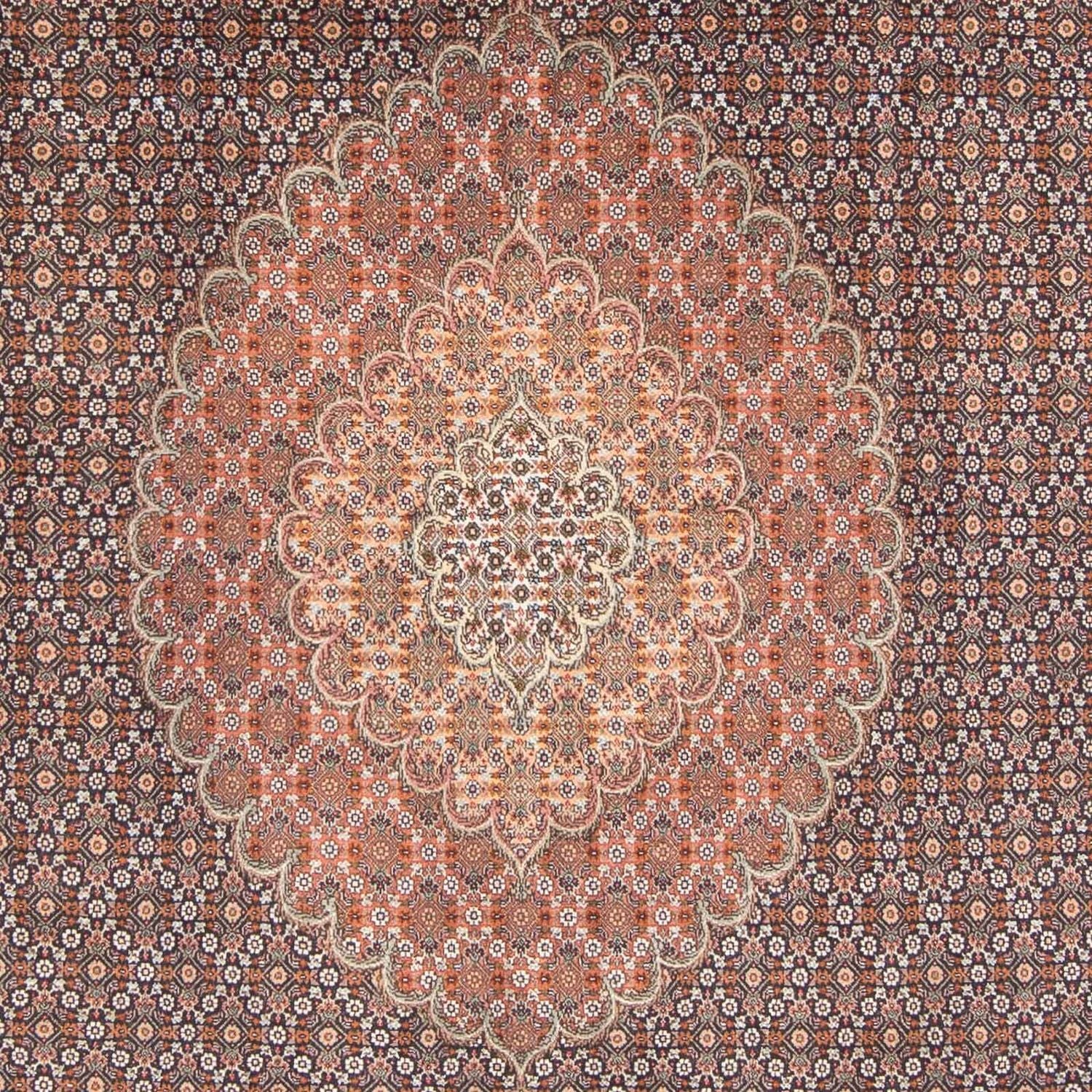 Tappeto Persero - Tabriz - 305 x 198 cm - blu scuro