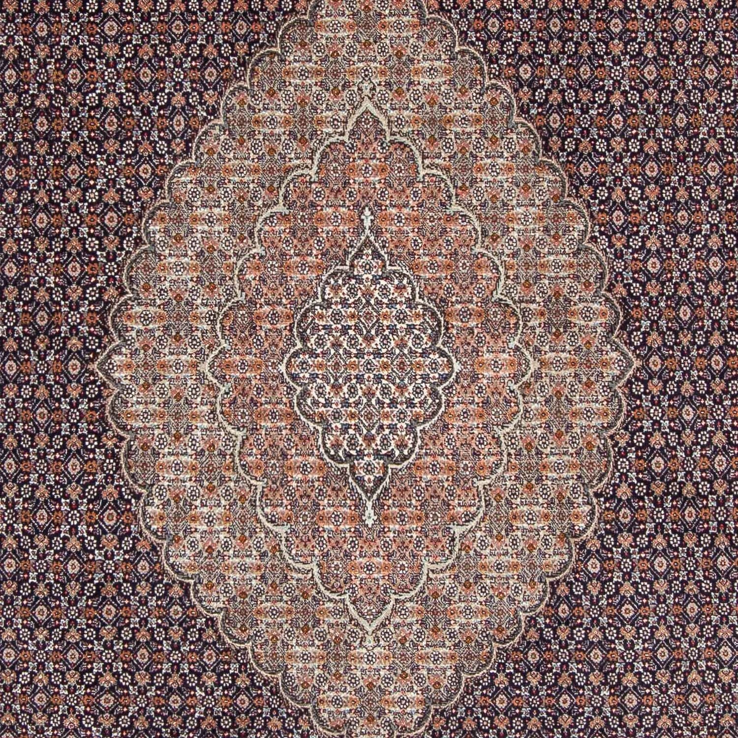 Tappeto Persero - Tabriz - 296 x 207 cm - blu scuro