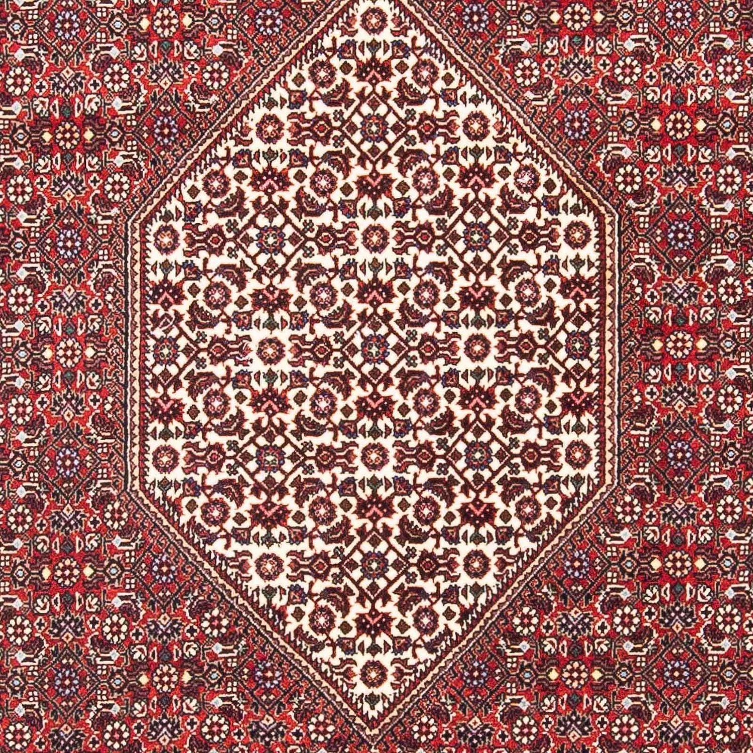 Tappeto Persero - Bidjar - 185 x 112 cm - rosso