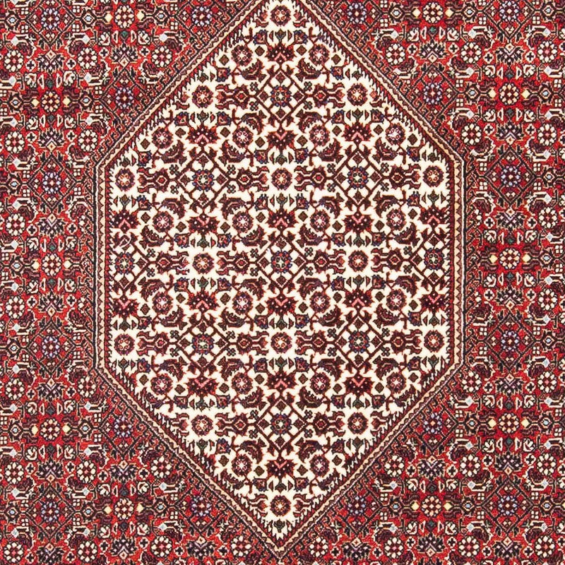Tappeto Persero - Bidjar - 185 x 112 cm - rosso