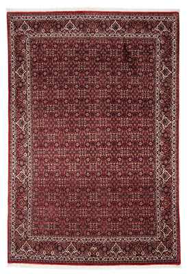Tappeto Persero - Bidjar - 240 x 168 cm - rosso scuro