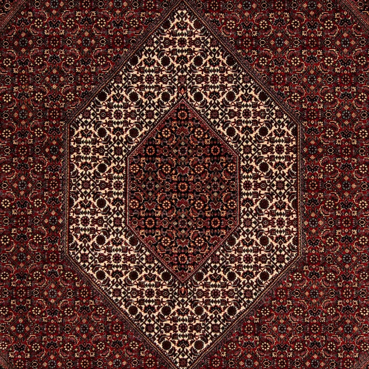 Tappeto Persero - Bidjar - 252 x 208 cm - rosso scuro