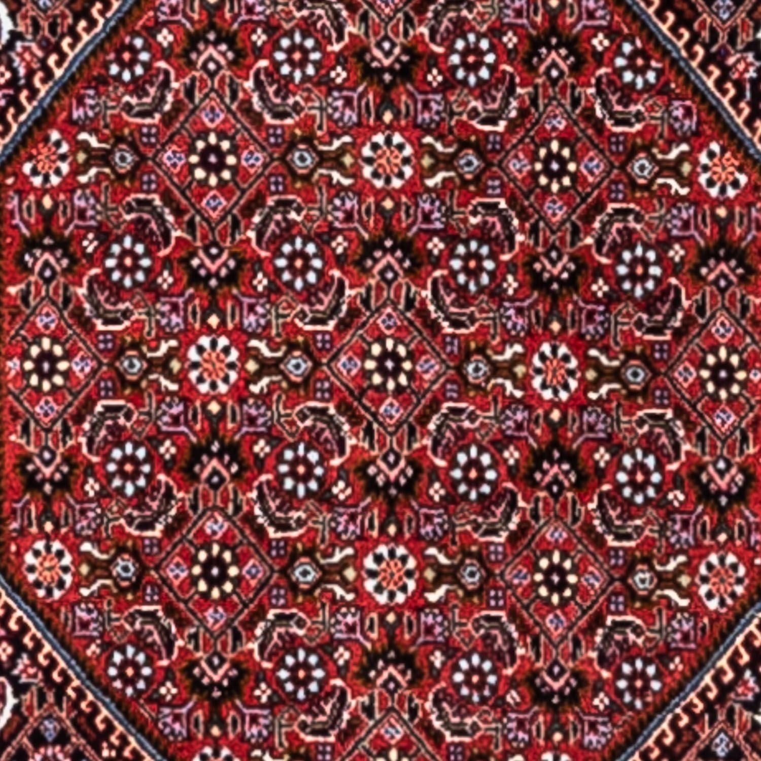 Tappeto Persero - Bidjar - 318 x 200 cm - rosso