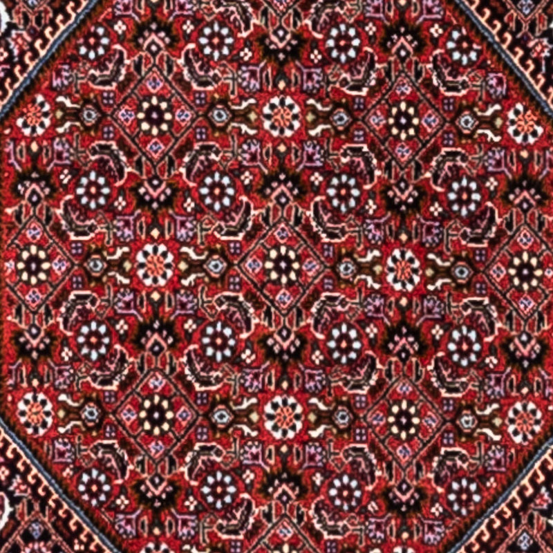 Tappeto Persero - Bidjar - 318 x 200 cm - rosso