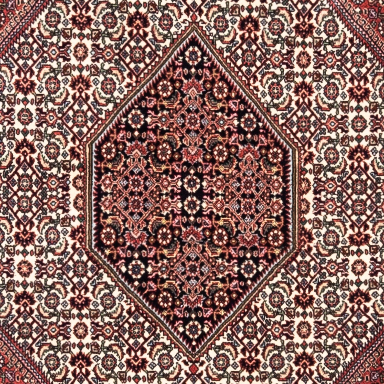 Tappeto Persero - Bidjar - 295 x 200 cm - rosso