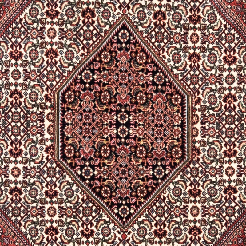 Tappeto Persero - Bidjar - 295 x 200 cm - rosso
