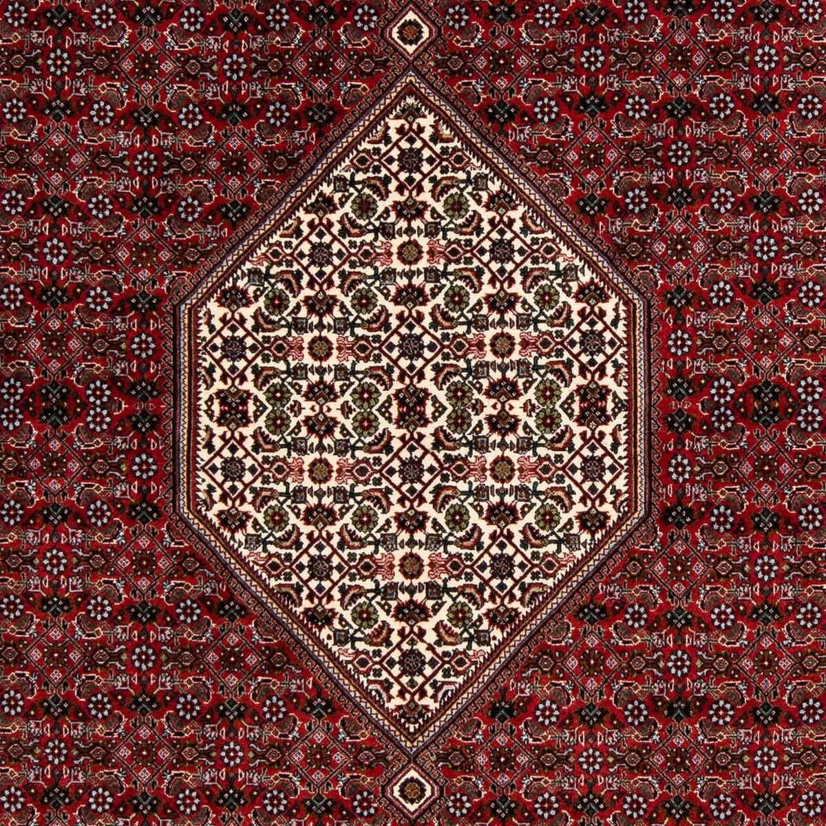 Tappeto Persero - Bidjar quadrato  - 203 x 196 cm - rosso scuro