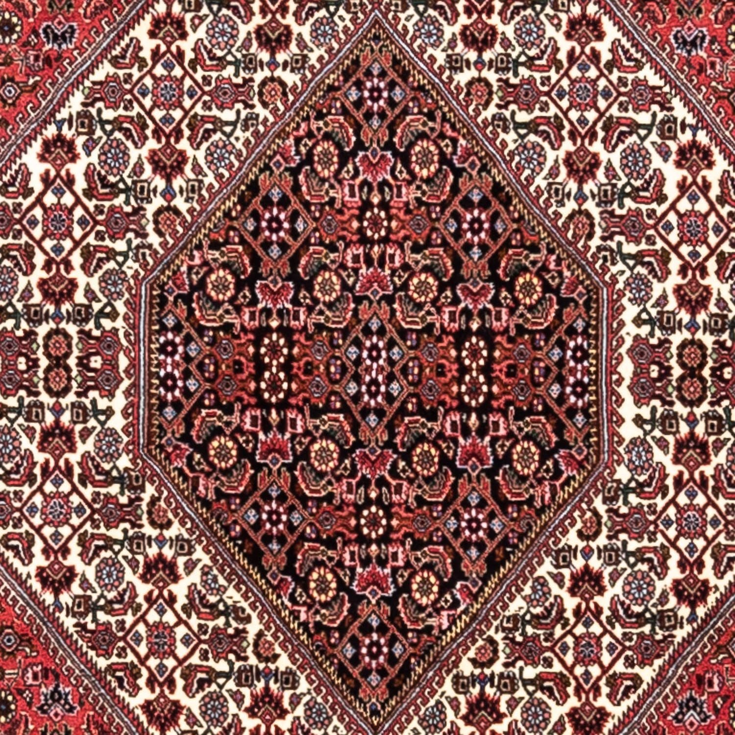 Tappeto Persero - Bidjar - 300 x 200 cm - rosso