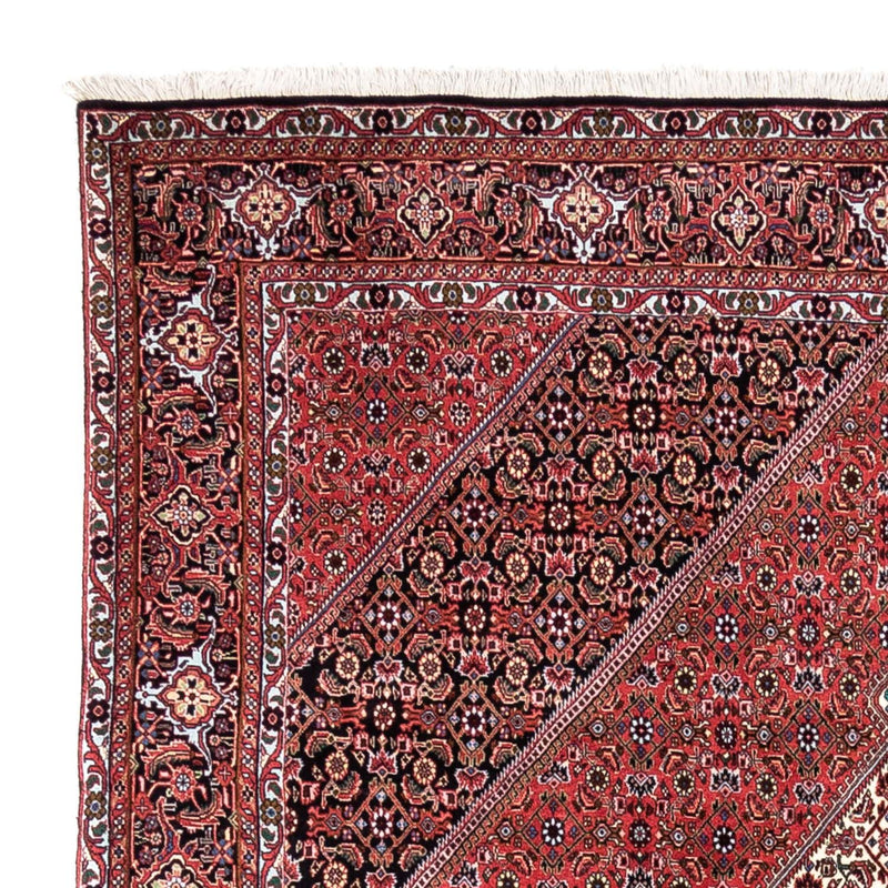 Tappeto Persero - Bidjar - 300 x 200 cm - rosso