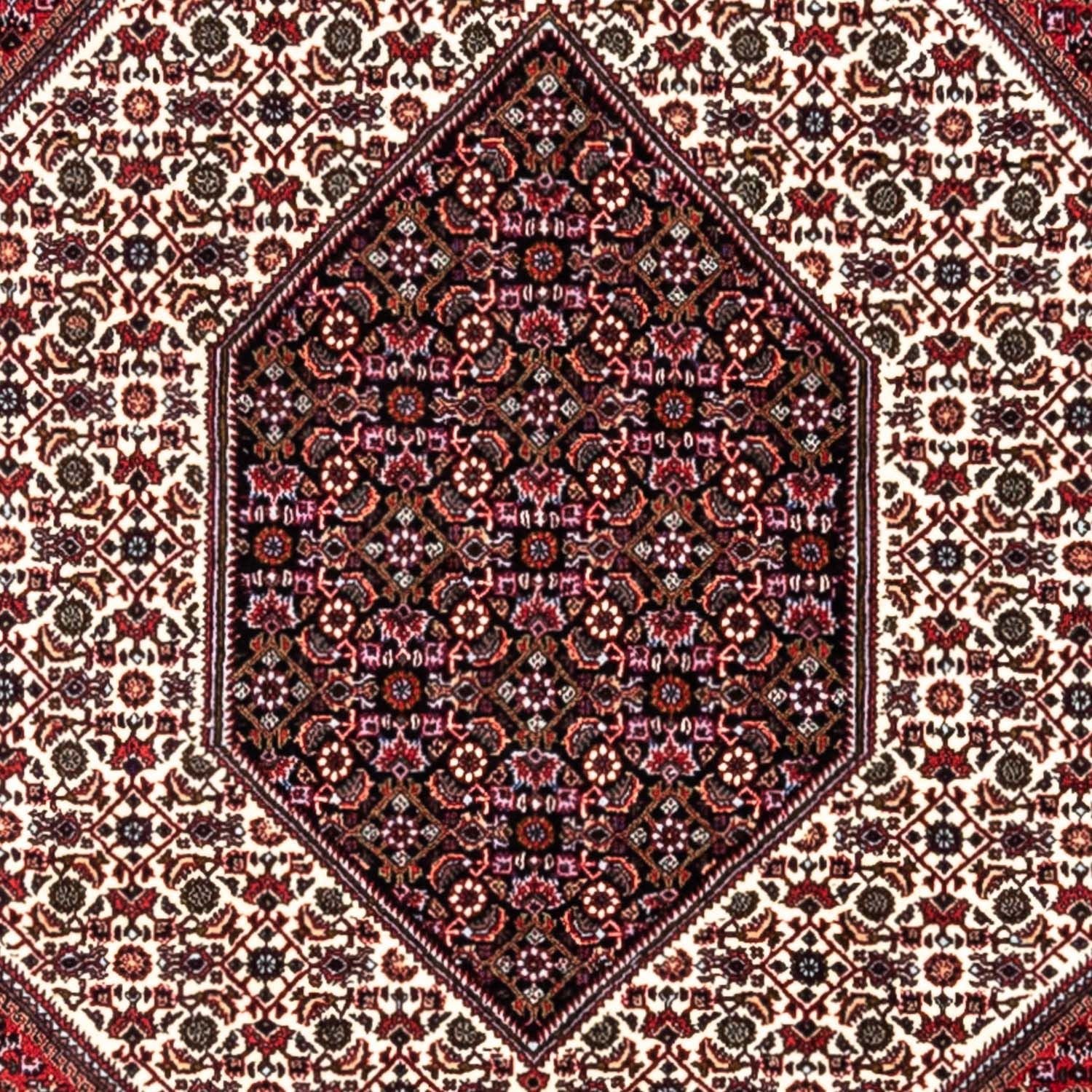 Tappeto Persero - Bidjar - 302 x 200 cm - rosso