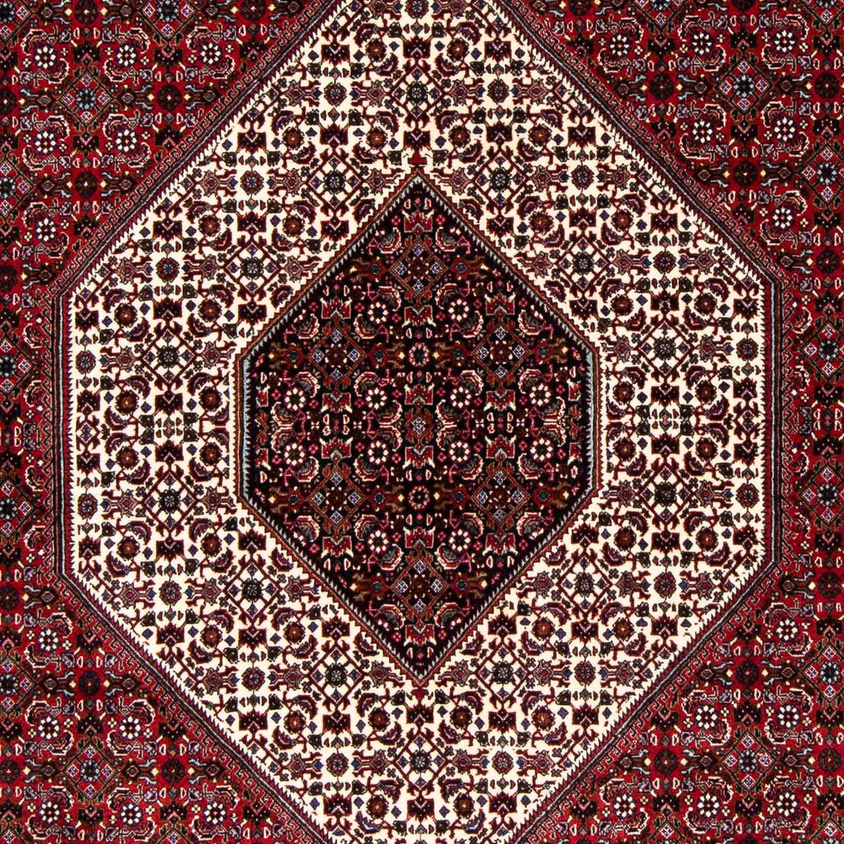 Tappeto Persero - Bidjar - 257 x 173 cm - rosso scuro