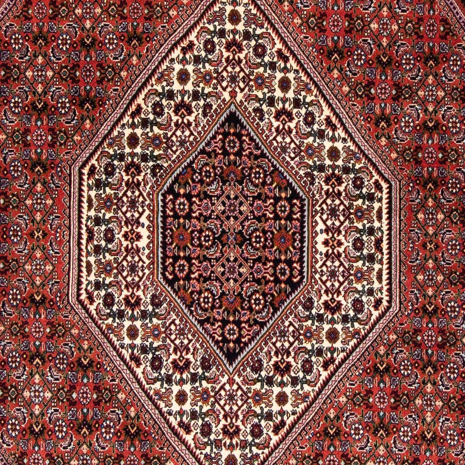 Tappeto Persero - Bidjar - 263 x 168 cm - rosso