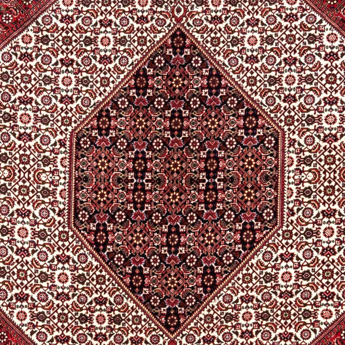 Tappeto Persero - Bidjar - 360 x 253 cm - rosso