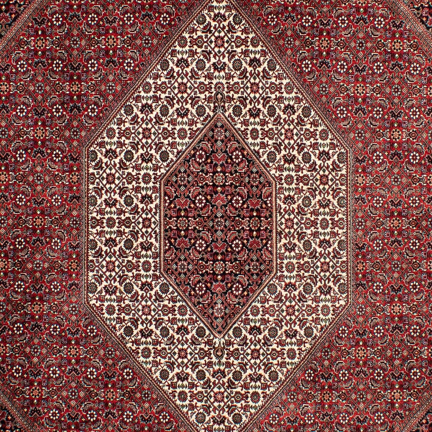 Tappeto Persero - Bidjar - 298 x 200 cm - rosso scuro