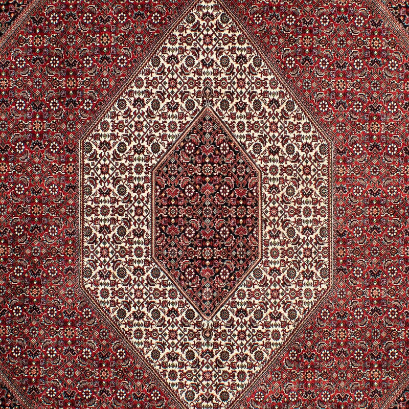 Tappeto Persero - Bidjar - 298 x 200 cm - rosso scuro