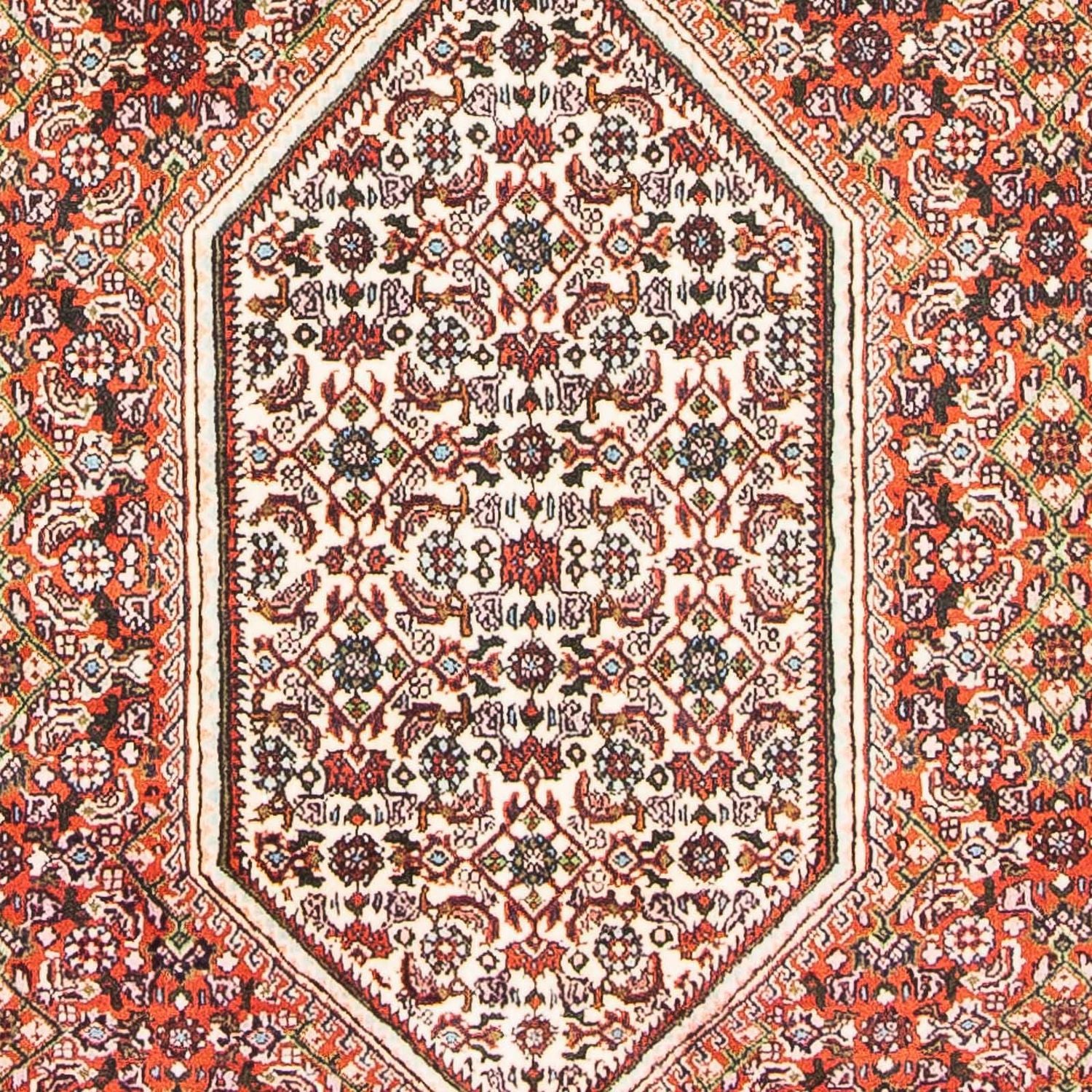 Tappeto Persero - Bidjar - 180 x 110 cm - beige
