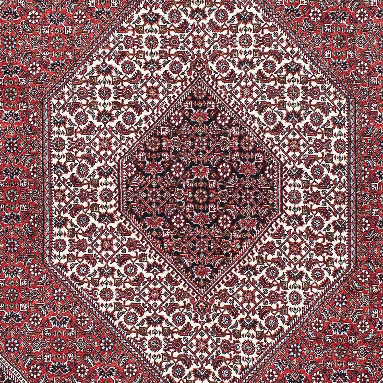Tappeto Persero - Bidjar - 220 x 142 cm - rosso