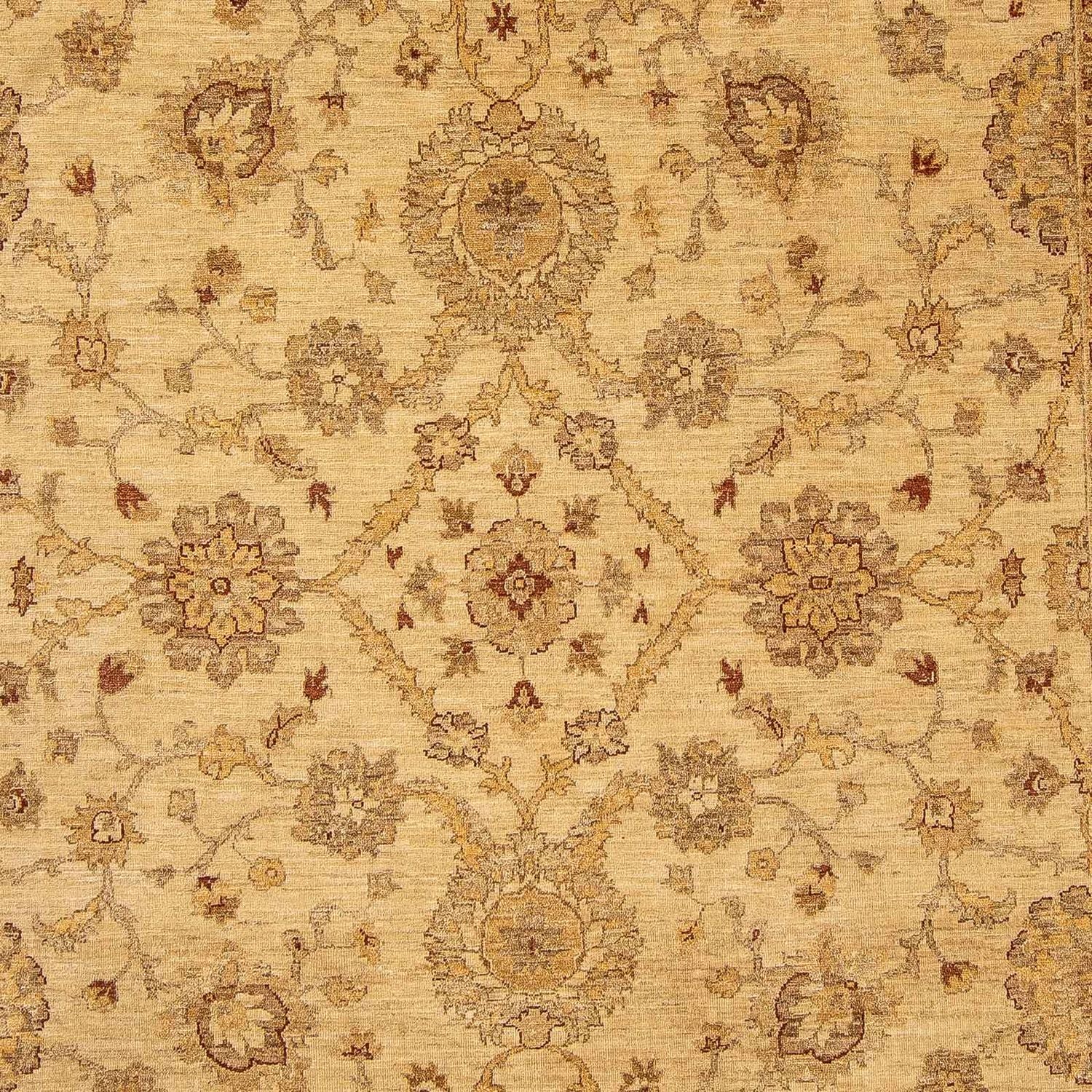 Tappeto Ziegler - 307 x 241 cm - marrone chiaro