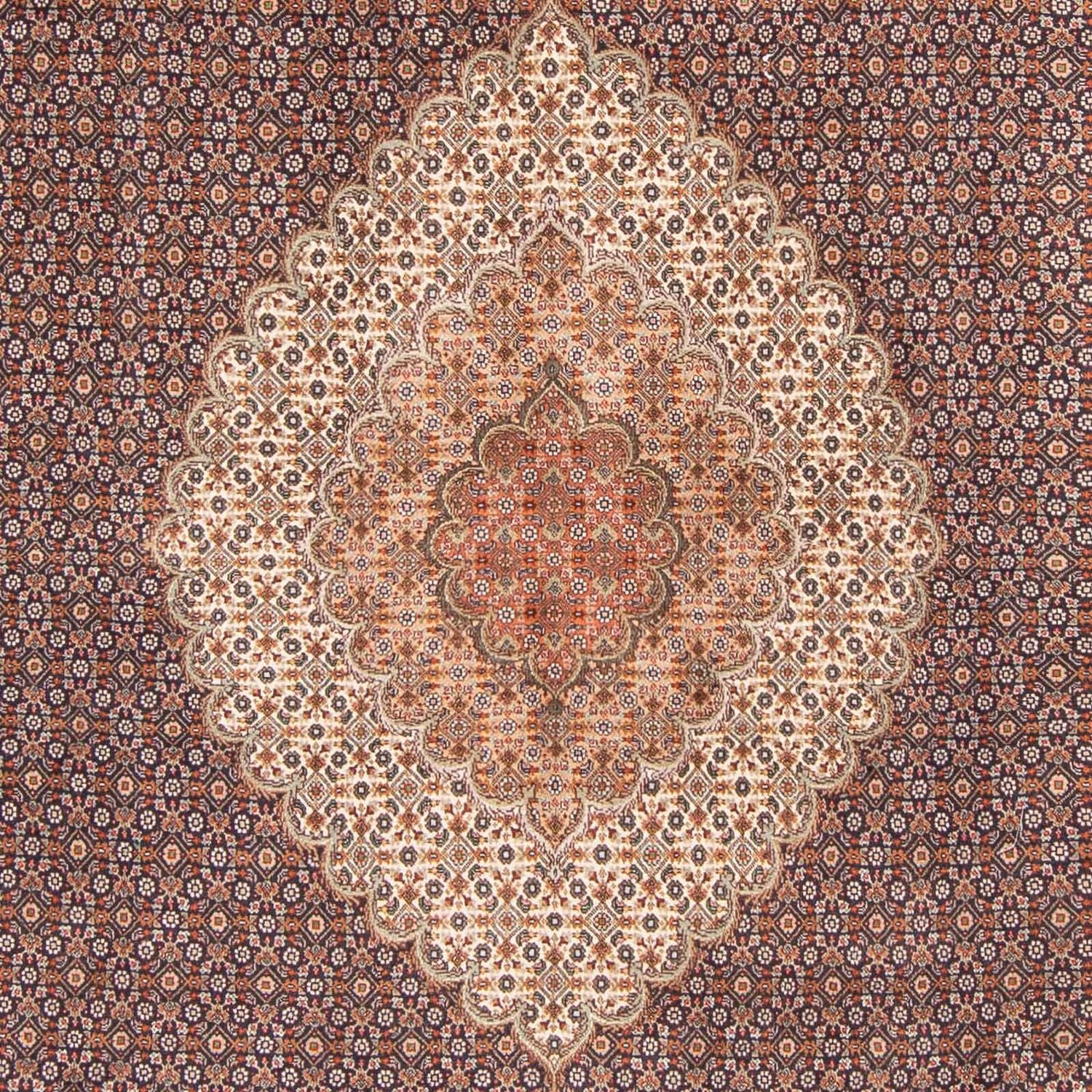 Tappeto Persero - Tabriz - 304 x 202 cm - marrone chiaro