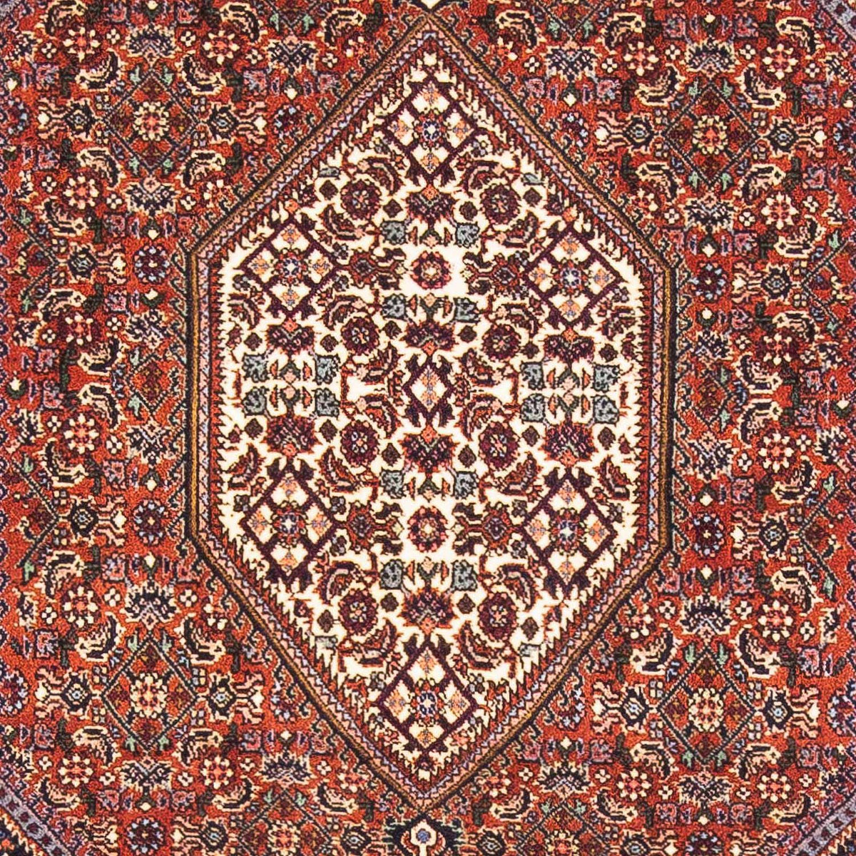Tappeto Persero - Bidjar - 152 x 105 cm - rosso