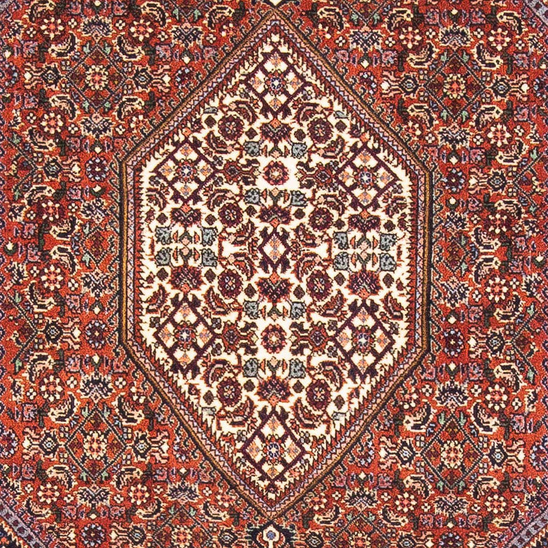 Tappeto Persero - Bidjar - 152 x 105 cm - rosso