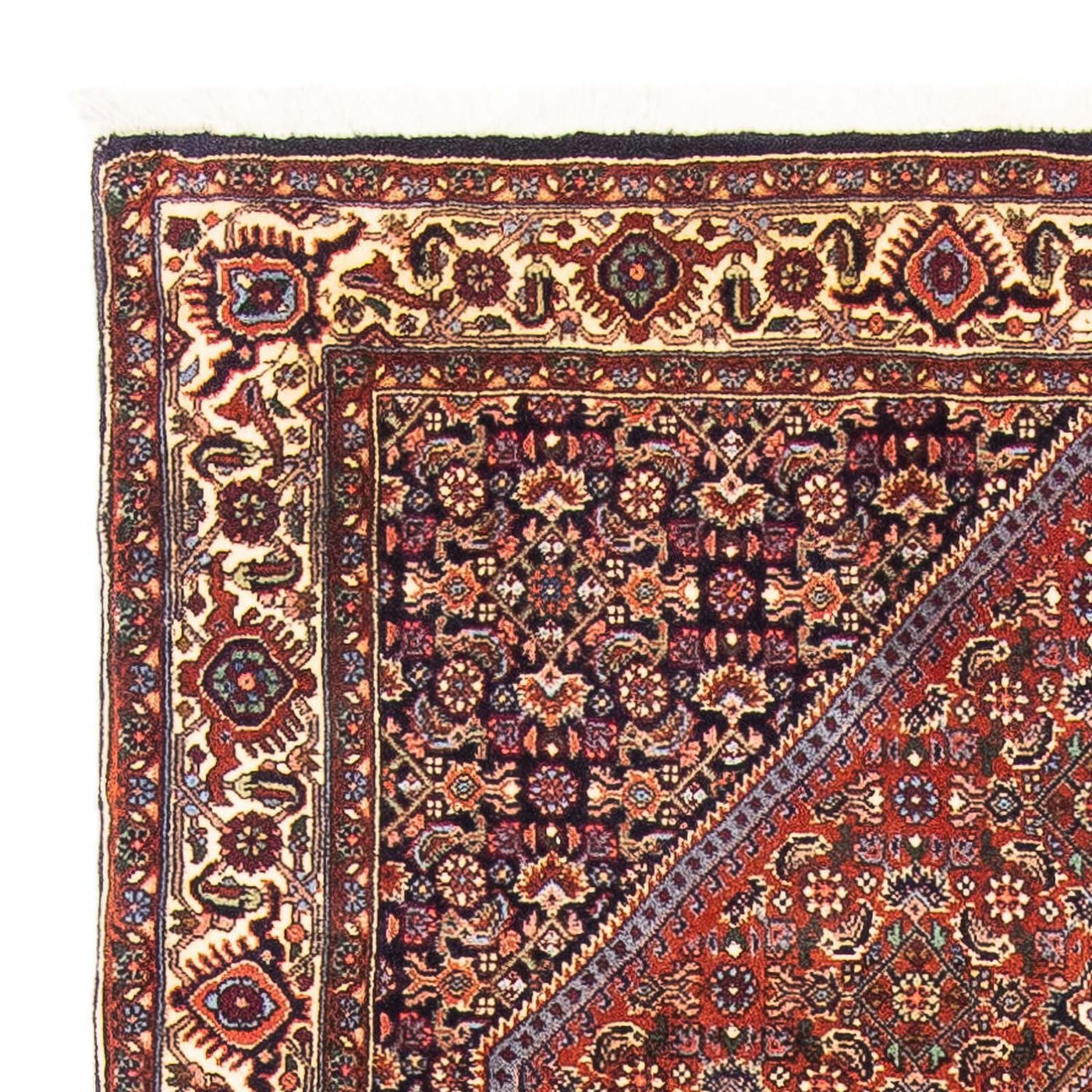 Bidjar Tappeto 152x105cm - Tappeto persiano