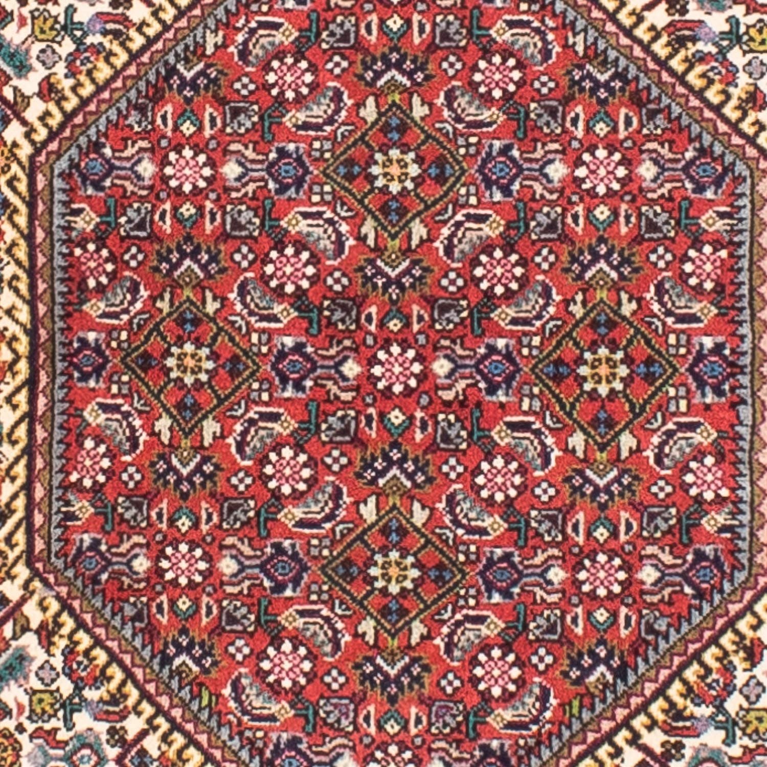 Tappeto Persero - Bidjar - 170 x 110 cm - beige