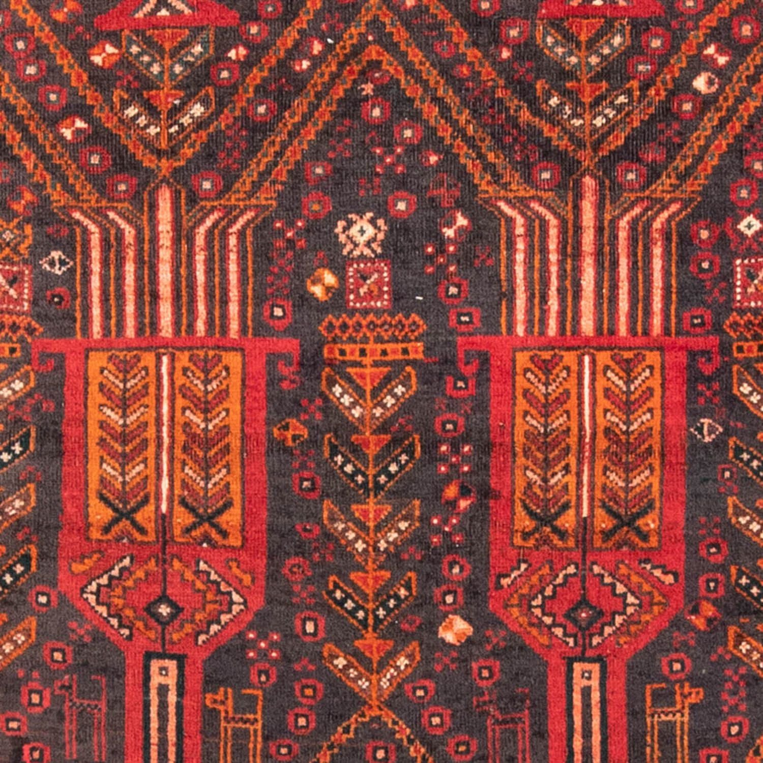 Tappeto corsia Tappeto Belutsch - 239 x 111 cm - ruggine