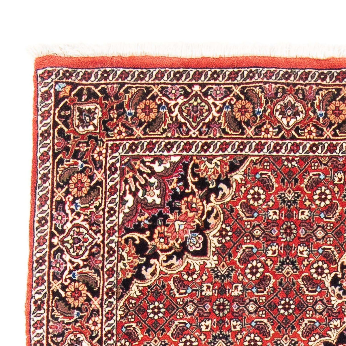 Tappeto corsia Tappeto Persero - Bidjar - 184 x 100 cm - rosso