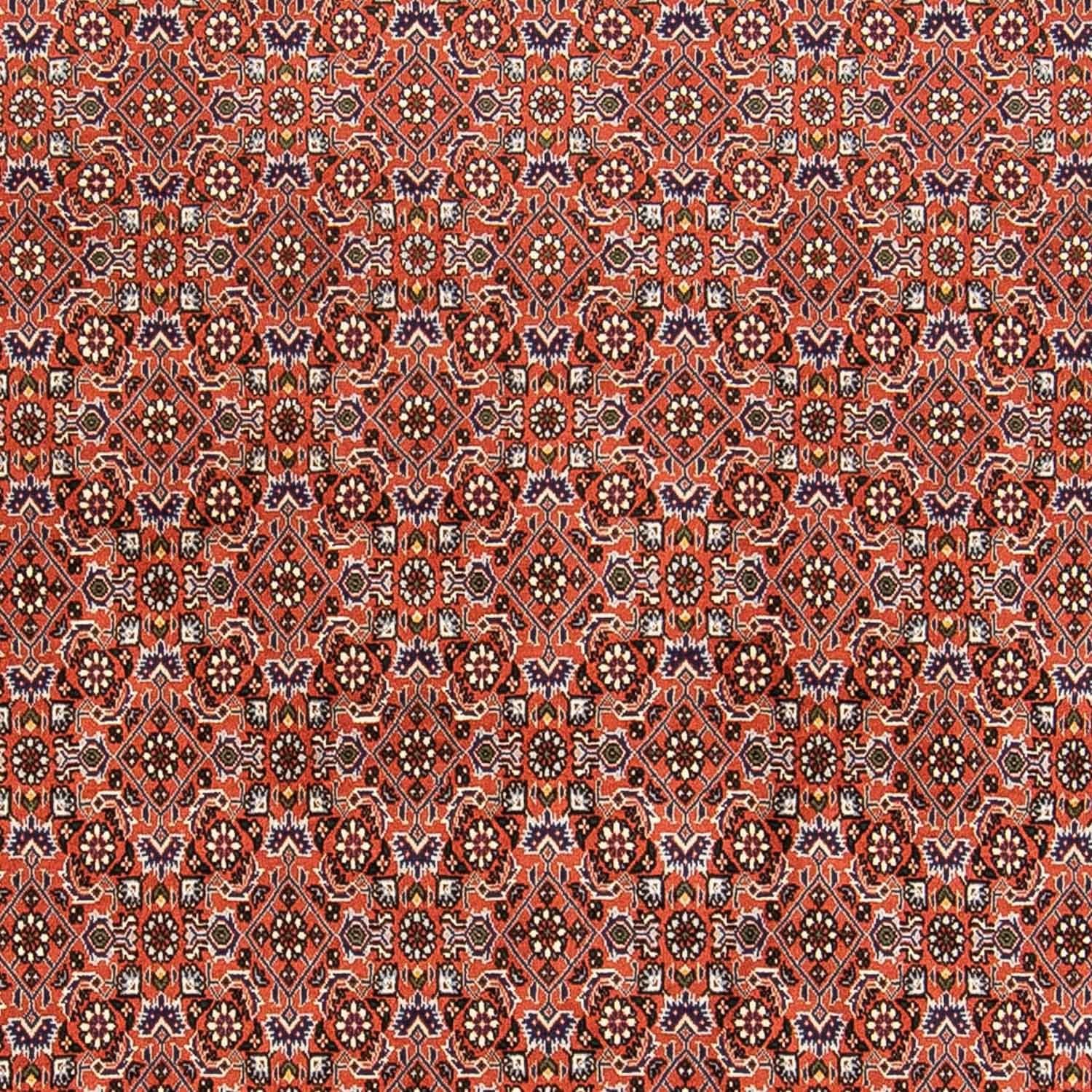 Tappeto Persero - Bidjar - 230 x 168 cm - ruggine