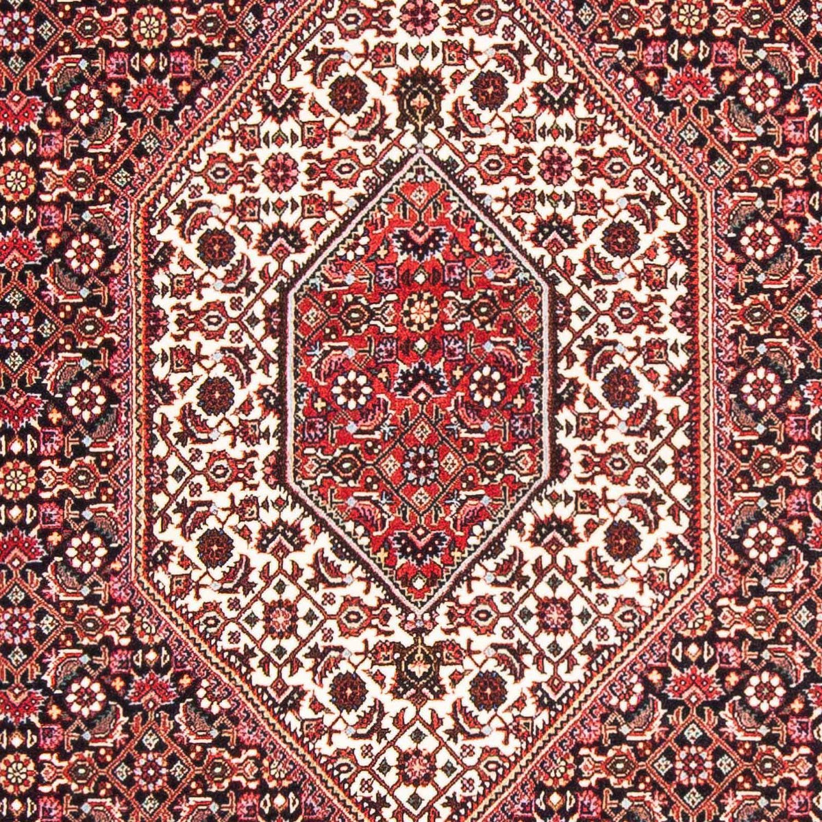 Tappeto Persero - Bidjar - 168 x 106 cm - rosso