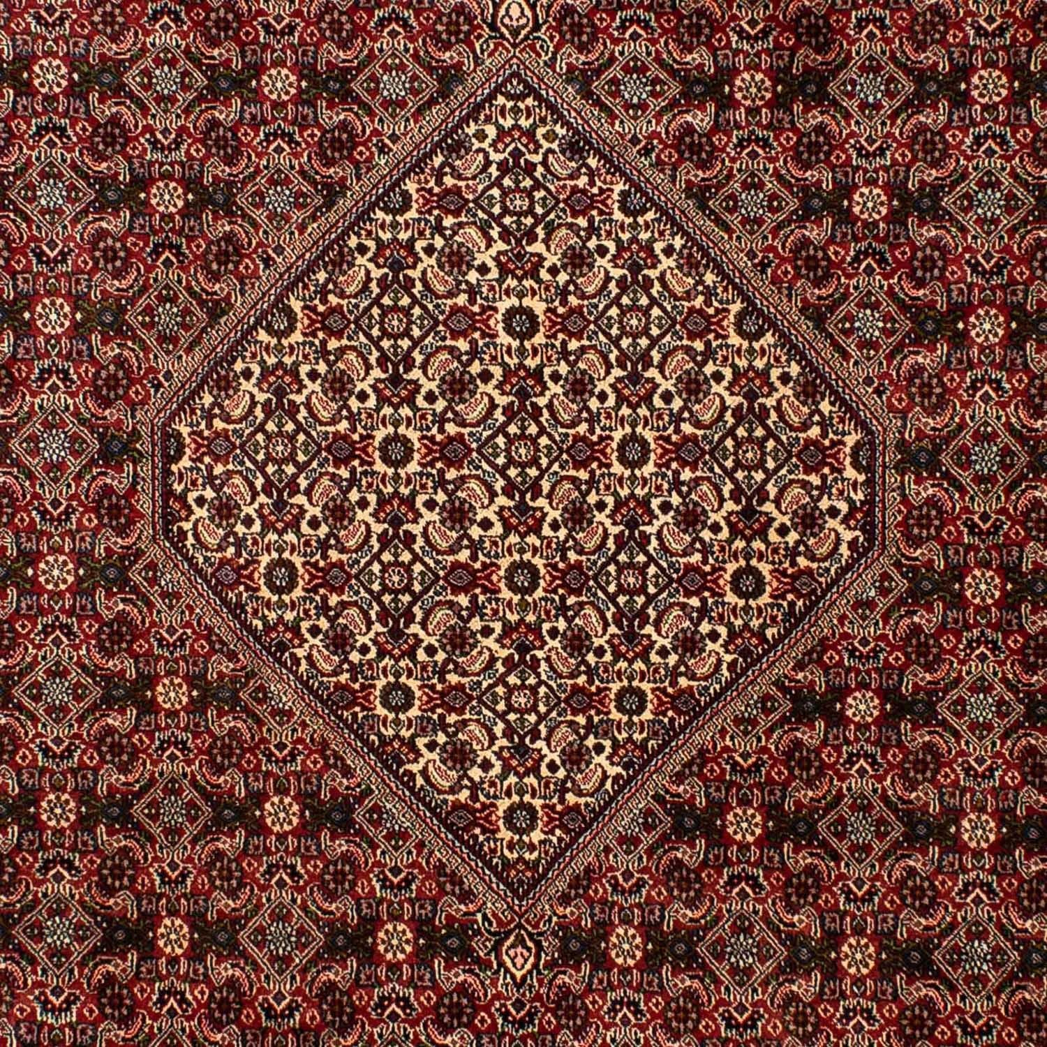 Tappeto Persero - Bidjar - 309 x 197 cm - marrone
