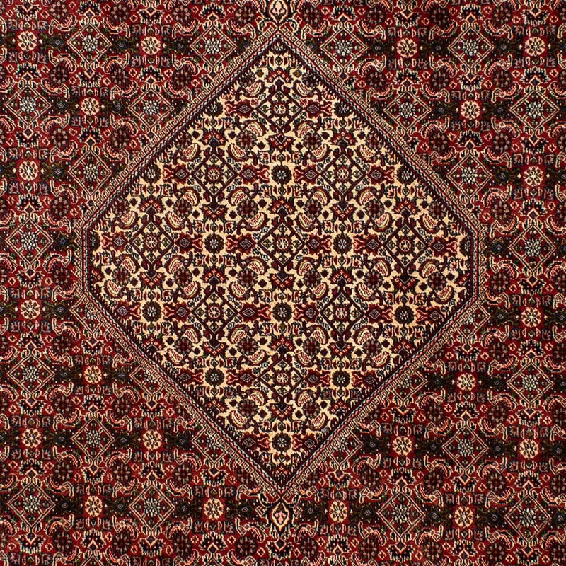 Tappeto Persero - Bidjar - 309 x 197 cm - marrone