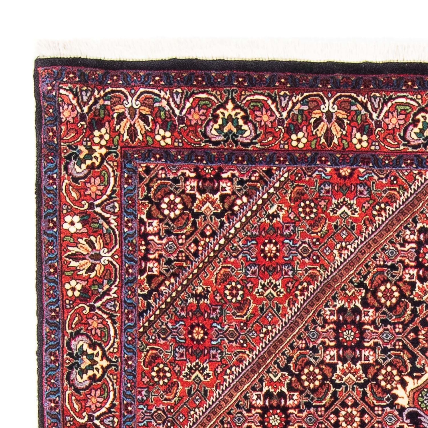 Tappeto Persero - Bidjar - 173 x 110 cm - rosso