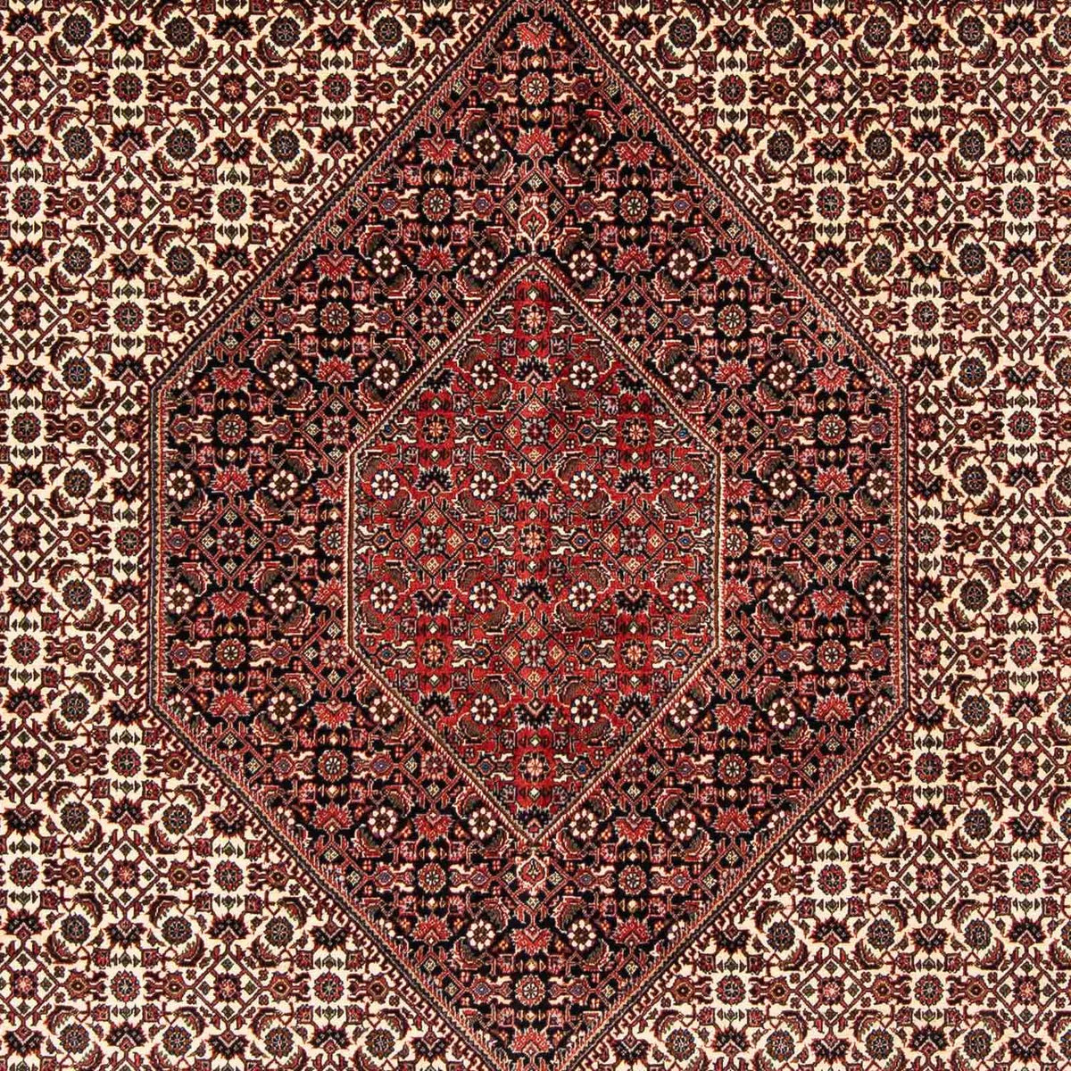 Tappeto Persero - Bidjar - 254 x 203 cm - rosso scuro
