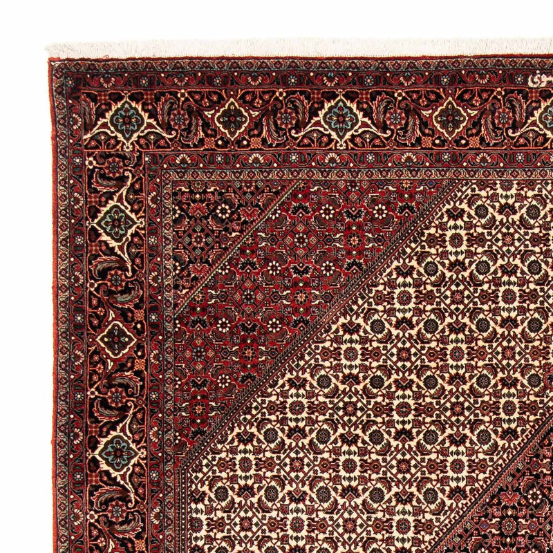 Tappeto Persero - Bidjar - 254 x 203 cm - rosso scuro