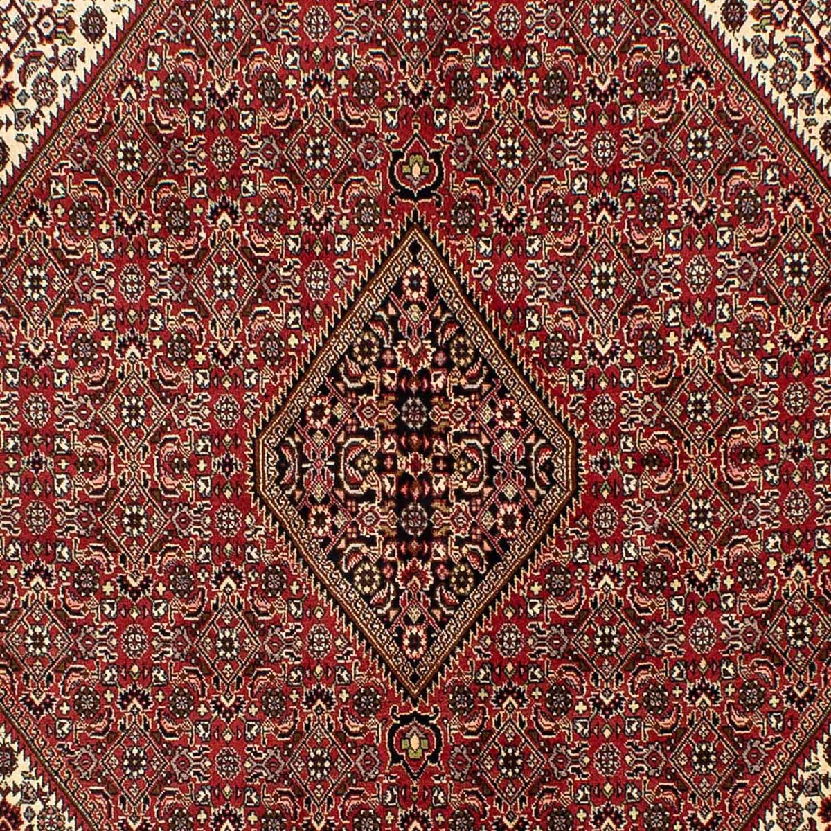 Tappeto Persero - Bidjar - 242 x 171 cm - rosso scuro